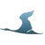 JS-v-35458